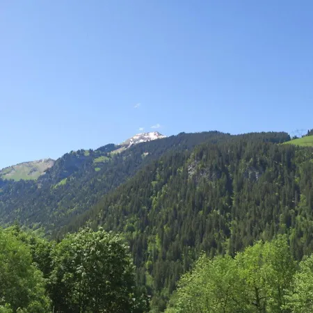 Apartment Spacieux A Avec Parking - 4 Pers, Balcon, Tv, Cuisine Equipee - Fr-1-198-112 Chatel