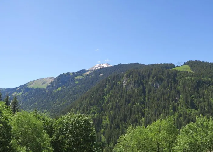 Apartamento Spacieux, 4 Personnes, Parking, - Fr-1-198-112 Châtel