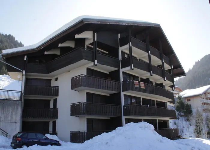 Apartamento Spacieux, 4 Personnes, Parking, - Fr-1-198-112 Châtel